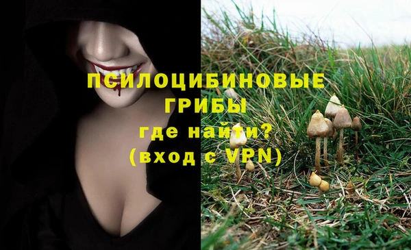 стафф Белоозёрский