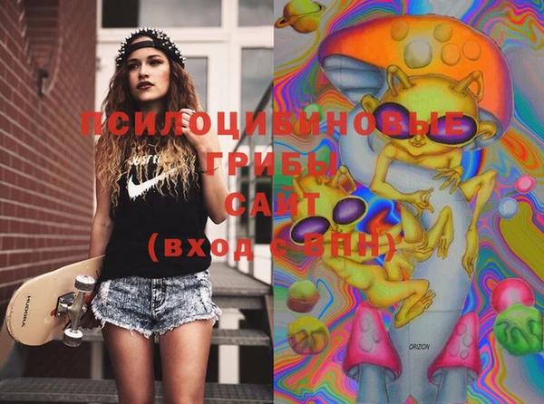 PSILOCYBIN Беломорск