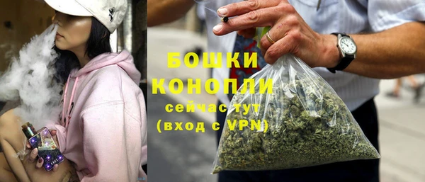 PSILOCYBIN Беломорск