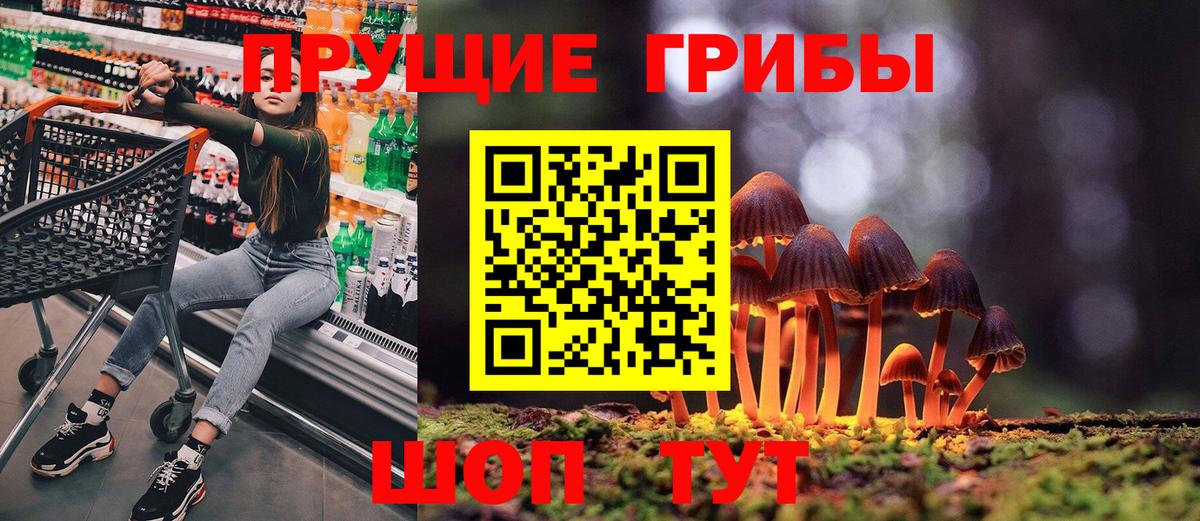 Галлюциногенные грибы Psilocybine cubensis Наро-Фоминск